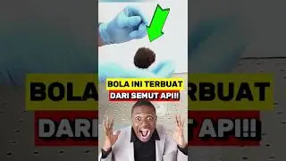 Bola ini Terbuat Dari Semut‼️😱