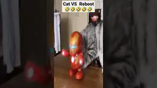 Cat VS Reboot