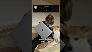 Лучше бы дворнягу из приюта взяли 