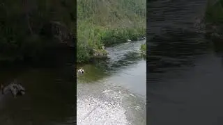 Реки Сибири.