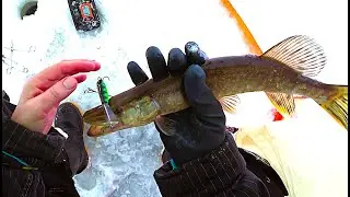 Зимняя рыбалка🐟❄ и снова не плохо ❄🐟👍😉 7.12.2024 г.