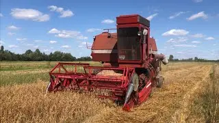 Жнива уже завершили! Дощ пішов, соя росте