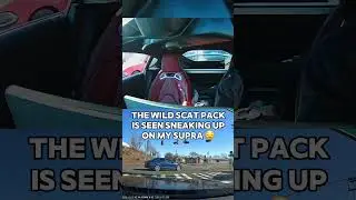 Would you have reacted the same way?! 