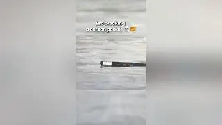 When you celebrate so hard, your paddle can’t handle it! 🎉