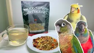 Avian Tea and Parrot Foraging Mixes from Biodiversity Bird Blends | BirdNerdSophie AD