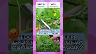 Прикинь, можно не тратить часы на подвязку растений Арт WB: 222223397 