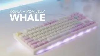 Acetal Whale Build | Koala Switch + POM Jelly Keycap Typing Sounds