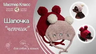 Шапочка для собаки, чепчик, вязание спицами