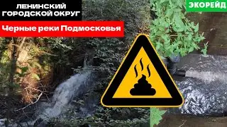Компания RDI продолжает травить Подмосковье нечистотами