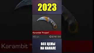 2022-2023 Karambit Frozen #стандоф #standoff #standoff2