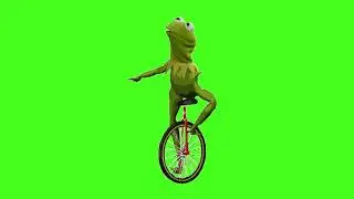 Frog on Bicycle  Green Screen HD | Download Now