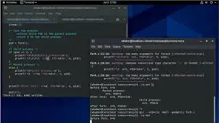 Using Fork to Create a New Process