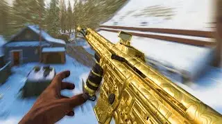 The GOLD STG in Vanguard (Unlocking Gold camo)