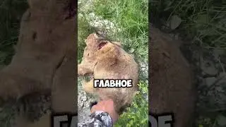 Охота на сурка с карабином | Чудесное попадание #nighthunter #тепловизор #тепловизоры #охота