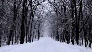 ДОРОГА за ЛЕНТОЧКУ..без НАВИГАТОРА И СВЯЗИ..