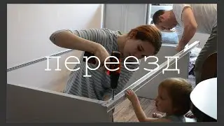 ПЕРЕЕХАЛА В ДРУГУЮ КВАРТИРУ С ЖИВОТНЫМИ?/ ЖИВУ ОДНА