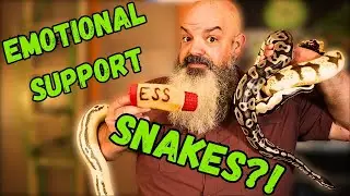 Can a SNAKE be a service animal?