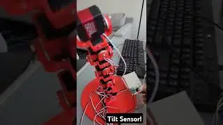 Robotic Arm!