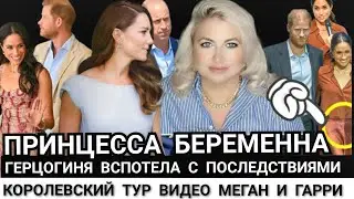 Принцесса Беременна! Гарри ССОРИТСЯ с Илоном Маском_Меган Маркл Потеет) Королевский тур Сассексских