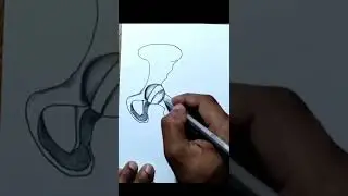 Human ball and socket joint drawing/ Hip joint drawing