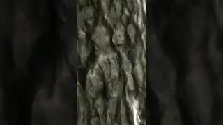 Infinite syringe loop 