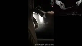 Phone Trample in Car