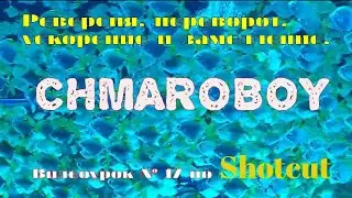 Реверсия, ускорение, замедление в программе Shotcut.