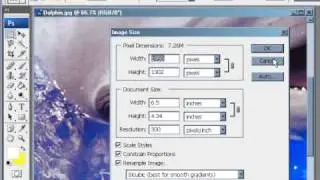 How to Check Image Size & Resolution