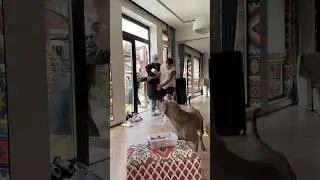 С ним мы чувствуем себя под защитой 😂