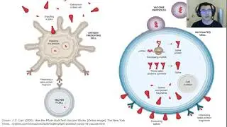 Students Talk Science - COVID-19:  Just The Facts: How the Pfizer mRNA Vaccine Works