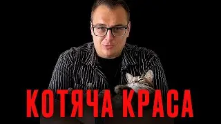 КОТИ І ВАЖЛИВІ ПИТАННЯ