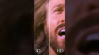 New Bee Gees Videos 