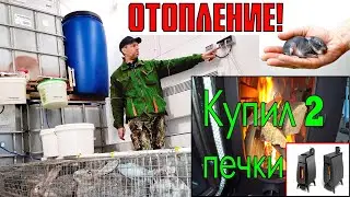 Зимние окролы. Как рожать зимой?