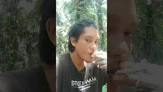 nasib seorang laki laki di perantauan 