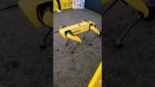 Robot Dog Charging!