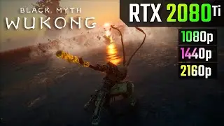 Black Myth: Wukong : RTX 2080 Ti - 1080p vs 1440p vs 4K (FSR)