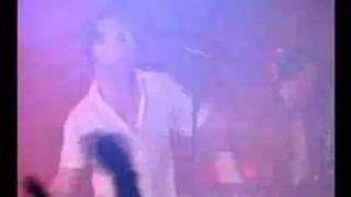 Melotron Brüder Live