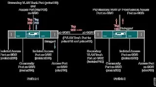 Что такое VLAN и Trunk. Как они работают и для чего созданы