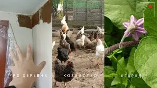 👩‍🌾Покупки для дома в деревне 🏠Продолжаем ремонтные работы 🐔Готовим курятник к зиме