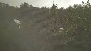 ТРОПИЧЕСКИЙ ЛИВЕНЬ!