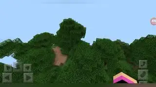 Показываю вид на дом Ведьмы и шахту МАЙНКРАФТ! Сегодня я молчун!