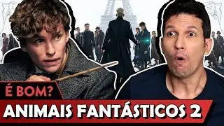ANIMAIS FANTÁSTICOS: OS CRIMES DE GRINDELWALD é bom? - Vale Crítica