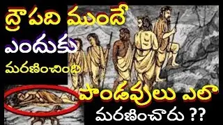 మహాభారతంలో ద్రౌపది ముందుగా ఎందుకు మరణించింది Real mysteries in telugu About Pandavas Death Mystery |