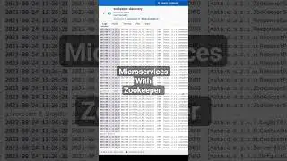 Microservices with Zookeeper 