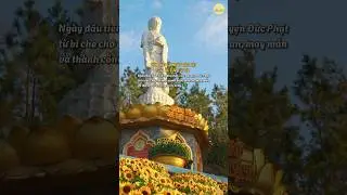 Chúc quý nhân dân, Phật tử tháng mới luôn bình an trong sự chở che của mười phương chư Phật