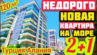 НЕДОРОГАЯ СОВРЕМЕННАЯ квартира в Алании ПОД КЛЮЧ в центре НЕДВИЖИМОСТЬ в Турции
