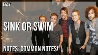 SUPER EASY: How to play Sink Or Swim  by OneRepublic on Tin Whistle (Tutorial)