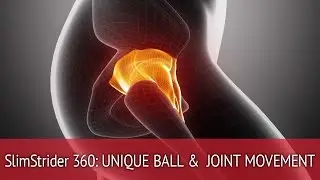 Unique Ball & Joint Movement!