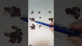 Водолей Октябрь 2024.Гадание на бобах