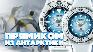ОБЗОР УНИКАЛЬНЫХ МОДЕЛЕЙ SEIKO SRPG59K1 и SRPG57K1 | ПЕРВАЯ РАСПАКОВКА В РОССИИ